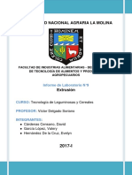 Informe 9 Extrusión