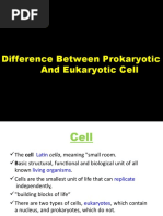 Prokaryotic & Eukaryotic Cell