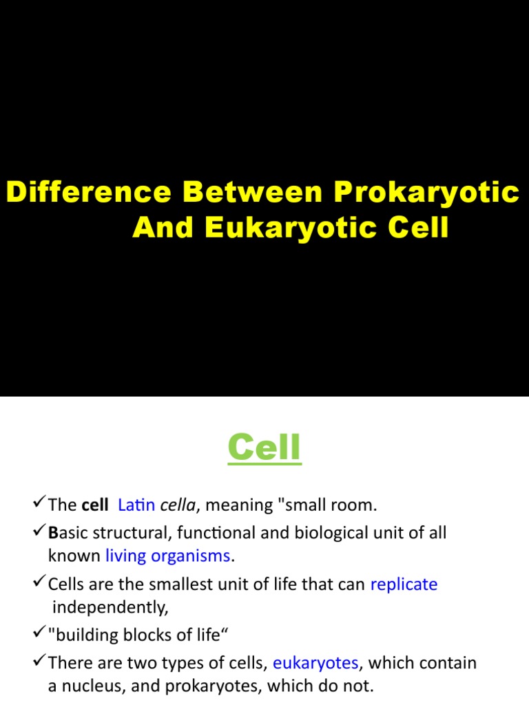 Prokaryotic vs Eukaryotic Cells Explained | PDF | Cell Nucleus | Cell ...