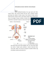 LP Batu Ureter