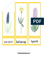 Flashcardflowersdrawings PDF