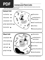 Quiz 1 Cell Str Pdf Mitochondrion Cell Biology