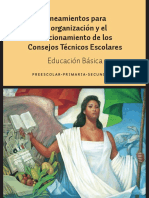 1.2 LINEAMIENTOS CTE 2013-2014.pdf