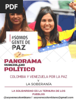 PANORAMA POLÍTICO de Venezuela 2017