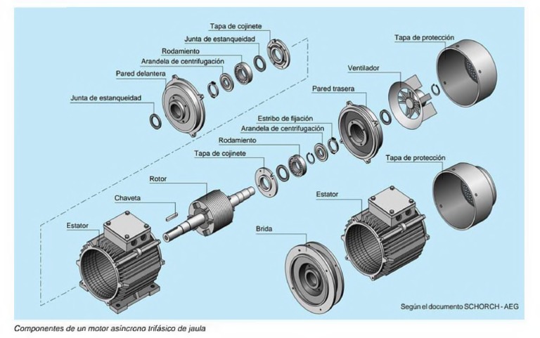 Contracción giratorio Remo Explocion Motor Jaula de Ardilla Con Todas Sus Partes | PDF | Motores |  Ingenieria Eléctrica