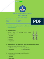 4sdt2-ipa_1_1