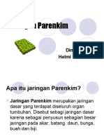 Download Jaringan Parenkim by HelmiRomdhoni SN35359587 doc pdf