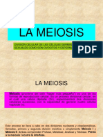 Meiosis I y II