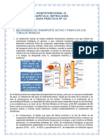 Practica Renal 