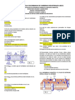 Test Membranas 2015