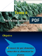 Tema 6. Nutricion Mineral