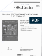Psicologia_do_Trabalho_Diane_Krumm_Patre.pdf