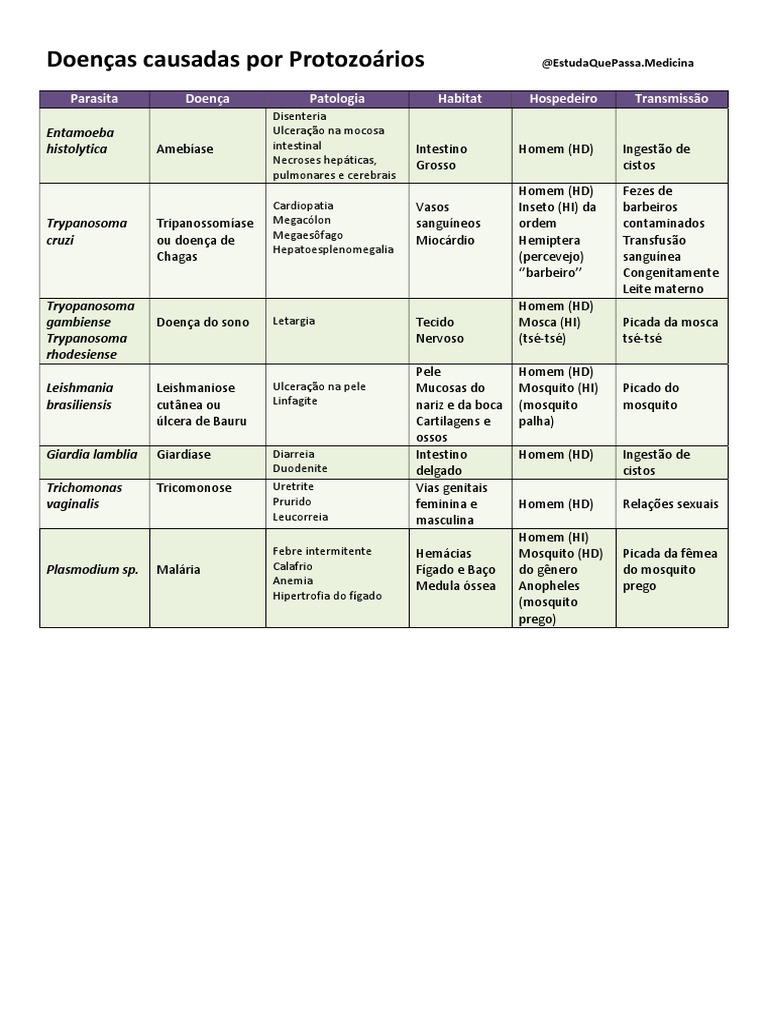 Doenças Causadas Por Protozoários | PDF | Especialidades médicas | Anatomia