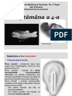 Curs 13 Saptamana IV PDF