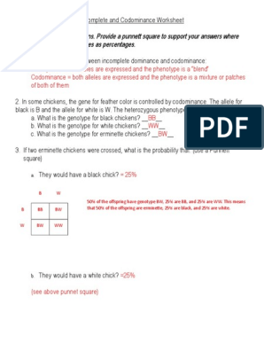 Incomplete And Codominance Worksheet Answers Doc Dominance Genetics Genotype