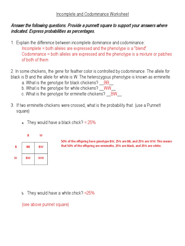 Incomplete And Codominance Worksheet Answers Dominance Genetics Genotype