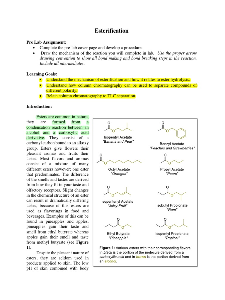 Synthesis of esters lab report answers chegg image