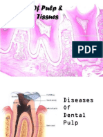 Diseases of Pulp and Periapical