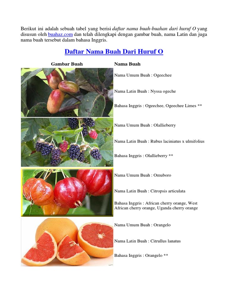 Buah Dari Huruf O Pdf