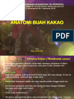 Anatomi Buah Kakao - Materi # 3