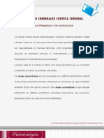 Lectura_Semana_4-_Corteza_Cerebral.pdf