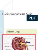 Glomerulonefritis Akut
