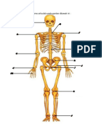 TP Arthro & Topografi