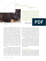 Trufas Negras PDF