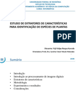 apresentação yuji tcc.pdf