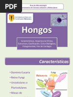 Clase Hongos Enfermeria 2014 - II