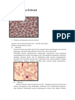 Kelainan Pada Eritrosit