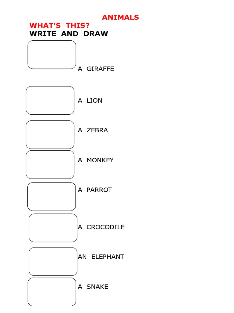 Write and Draw: Animals What'S This? | PDF