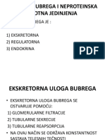 Funkcija Bubrega I Neproteinska Azotna Jedinjenja