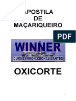 207014548-Apostila-de-Macariqueiro-2.docx