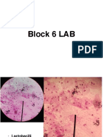 Block 6 Labs