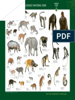 Africas Eden Poster Mammals Big
