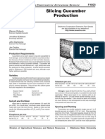 Vegetables. Slicing Cucumber Production