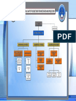 DIP - Organizational Structure