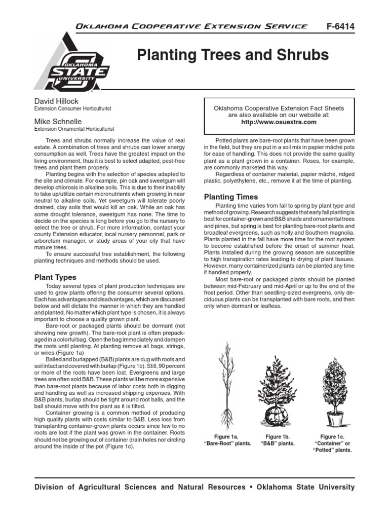 Planting Trees and Shrubs | PDF | Mulch | Trees