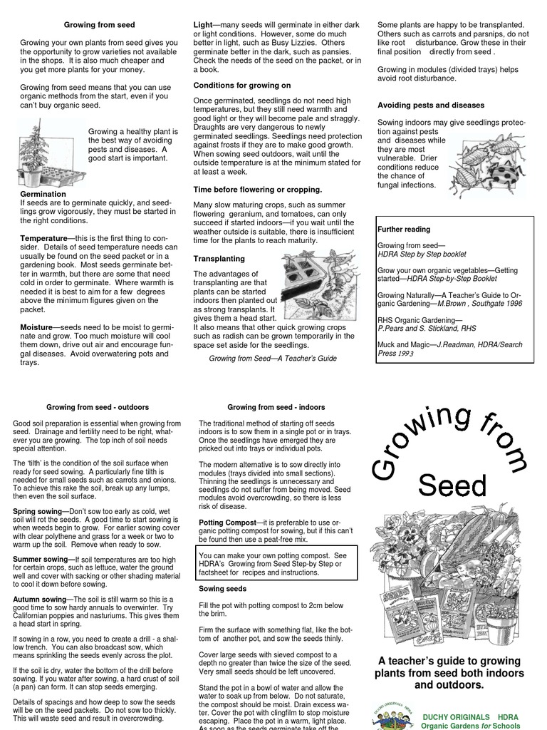 Seeds. Growing From Seed PDF Sowing Seed