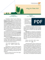 CODIT Model: Tree Decay Compartmentalization | PDF | Trees | Plant Stem