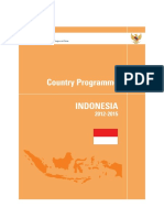 Programa Del País Indonesia