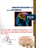 Chamo La Formacion Reticular y El Sitema Lmbico