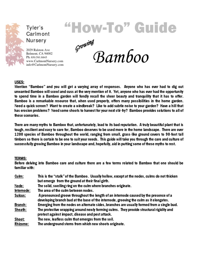 Bamboo Growing Guide and Care Tips | PDF