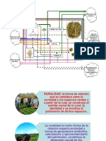 Tipologías de Productores