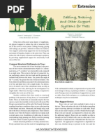 As 4373-2007 Pruning of Amenity Trees | PDF | Pruning | Plants