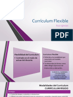 Curriculum Flexible