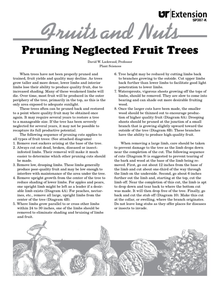 Pruning Techniques for Fruit Trees | PDF
