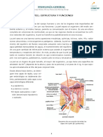 La Piel. Estructura y Funciones.pdf