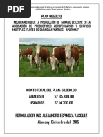Plan Negocio Rural Final